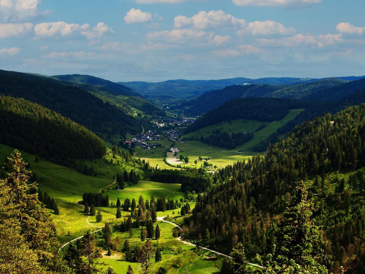 Black Forest Luxury Apartment Waldglueck Mit Sauna Königsfeld im Schwarzwald Exterior foto
